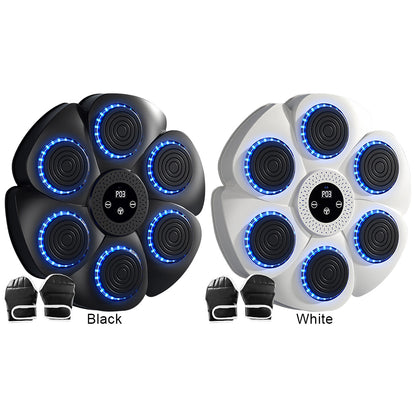 Interactieve Slimme Bokswand